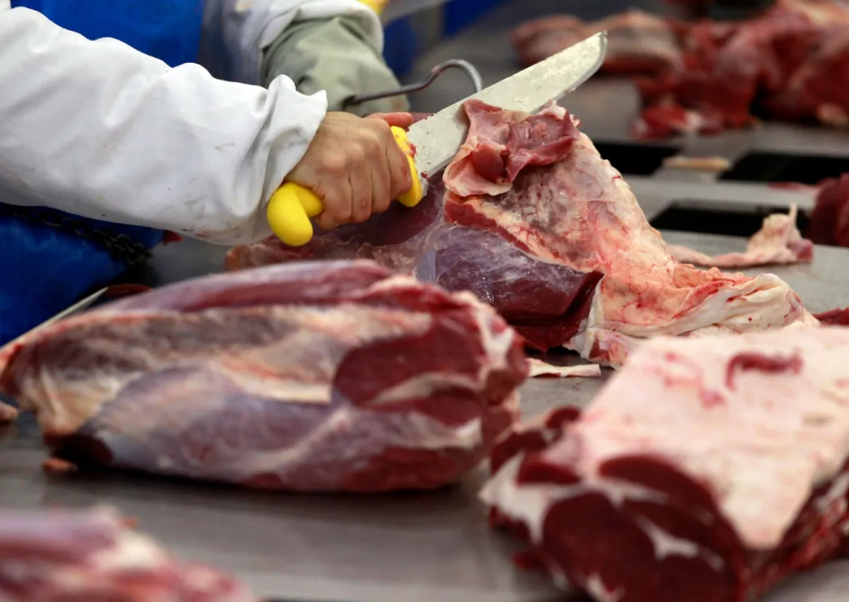 Exportações do agro capixaba recuam 2,3% no semestre, na contramão do Brasil