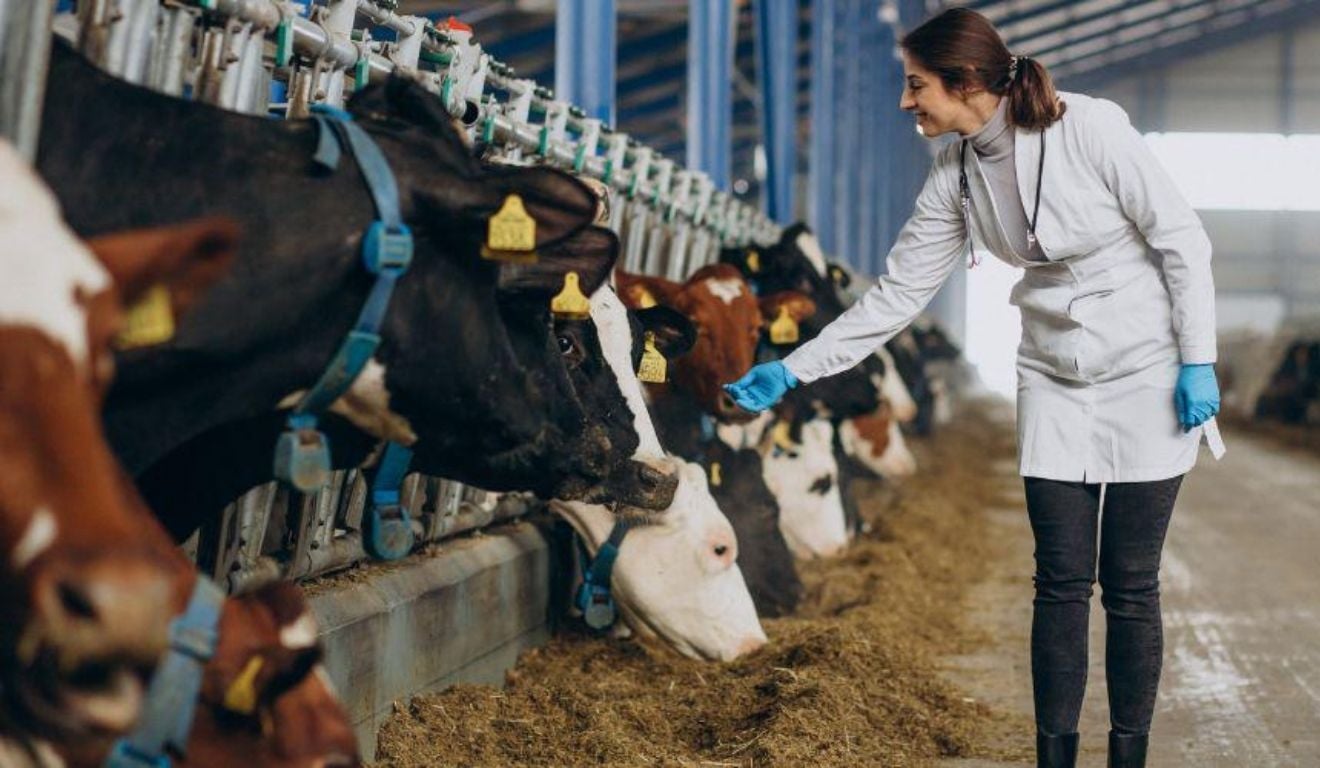 Vila Velha seleciona veterinários e agrônomos com salários de até R$ 7,5 mil