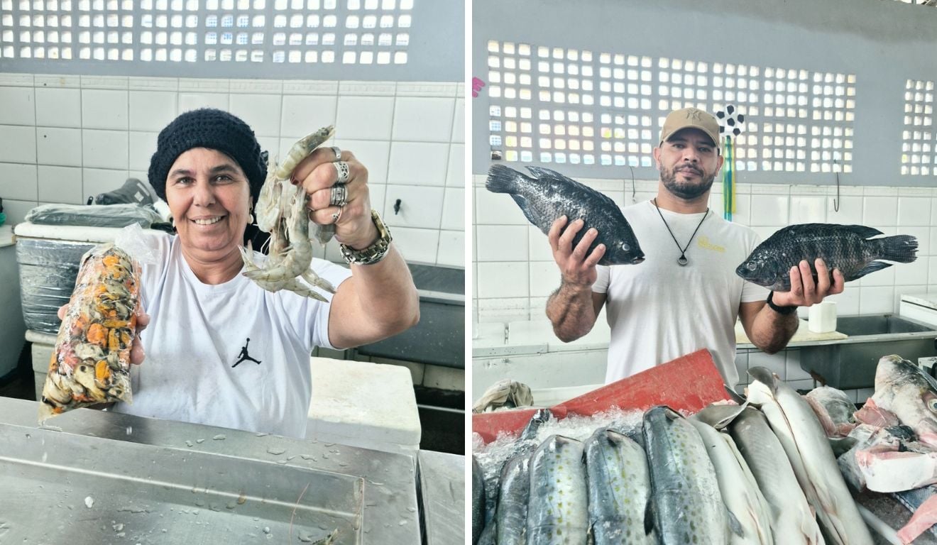 Peixe e camarão terão até 30% de desconto no ES; veja onde aproveitar - QTU Questões do Universo