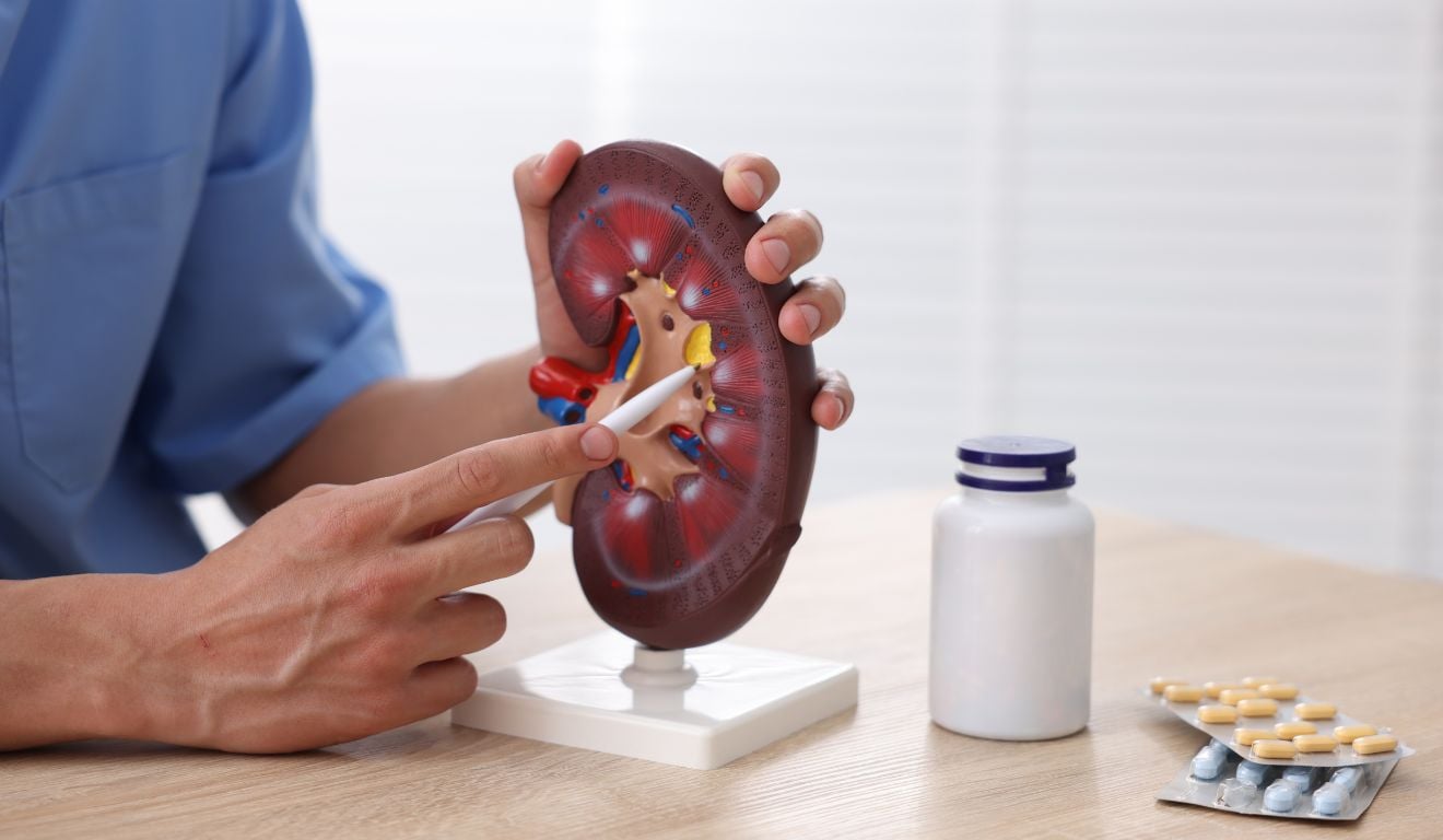 Por que tantas pessoas descobrem a doença renal tarde demais? - QTU Questões do Universo
