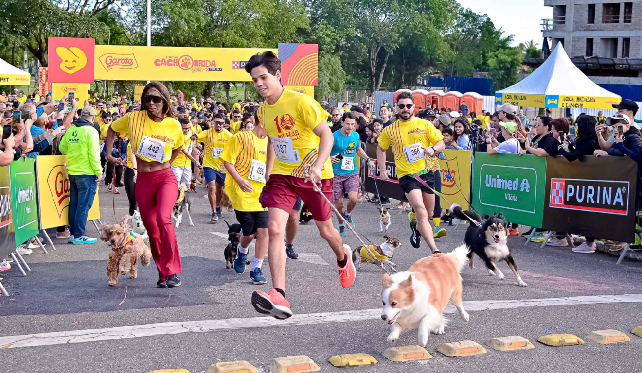 Cachorrida Garoto: saiba como proteger as patas do seu pet durante a prova