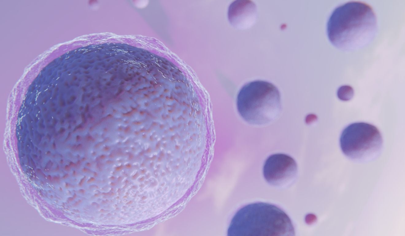 Congelei meus óvulos: a quantidade que tenho é suficiente para ter um filho no futuro?