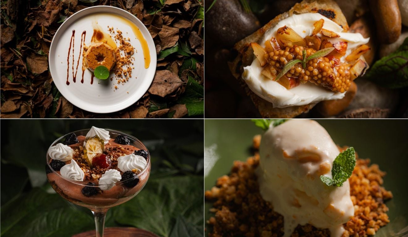 Festival gratuito no ES terá degustação de receitas com ingredientes da Mata Atlântica